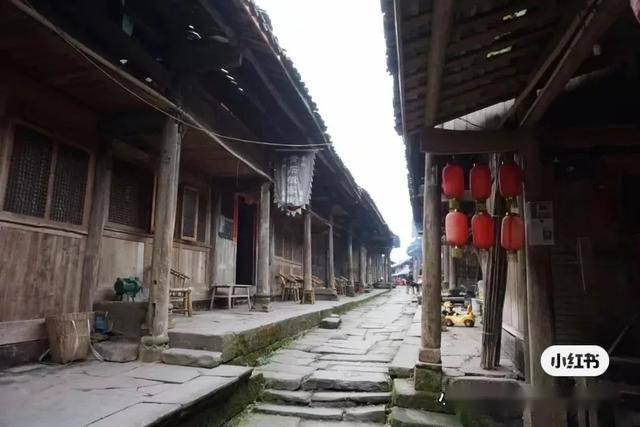 阿拉亚